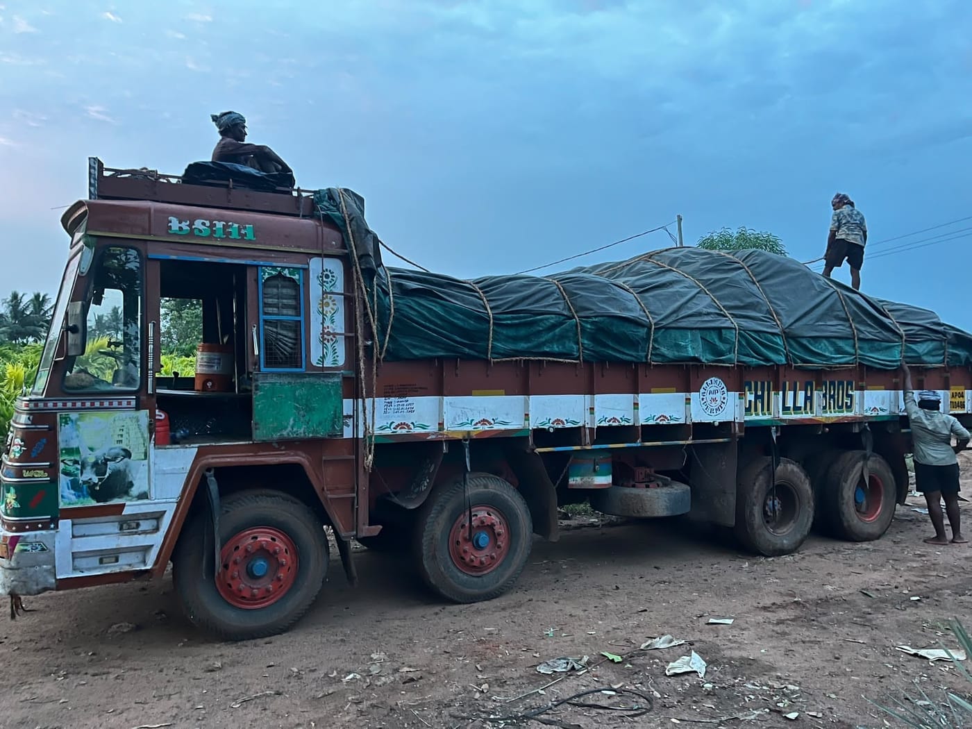 Truck loaded with wrapped palms ready for transport