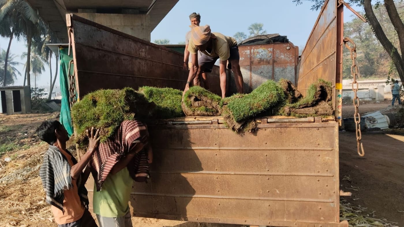 The nursery team loading a wholesale plant consignment